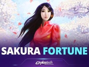 Sakura Fortune Live thumbnail